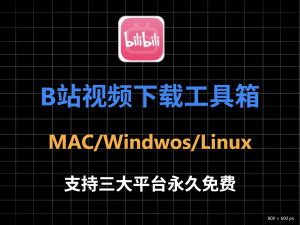 b站工具箱,支持Windows、 Mac OS、Linux 三大平臺,永久免費用電腦DIY圈-電腦DIY,一個分享電腦DIY硬件,電腦軟件,軟件素材資源,各類教程的博客-鑫嶼翔網絡電腦DIY圈